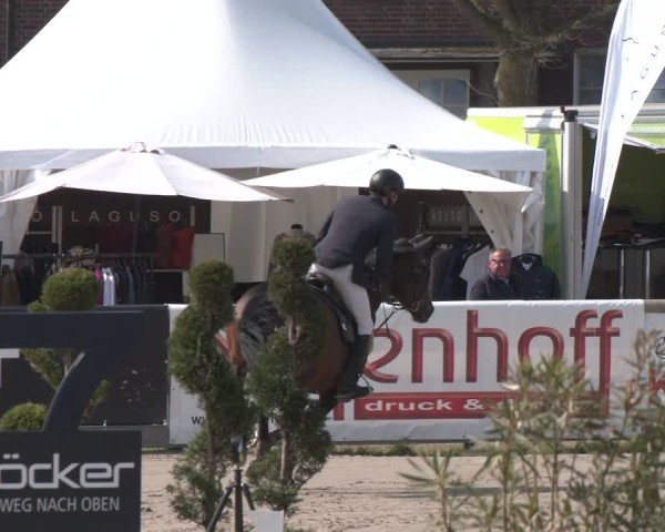 Lenklarer Reitertage Werne 2025