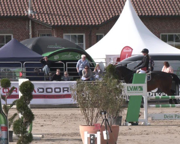 Reitturnier Werne-Lenklar 2025