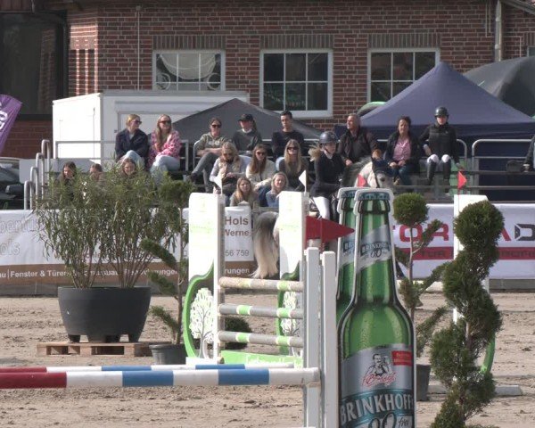 Lenklarer Reitertage Werne 2025