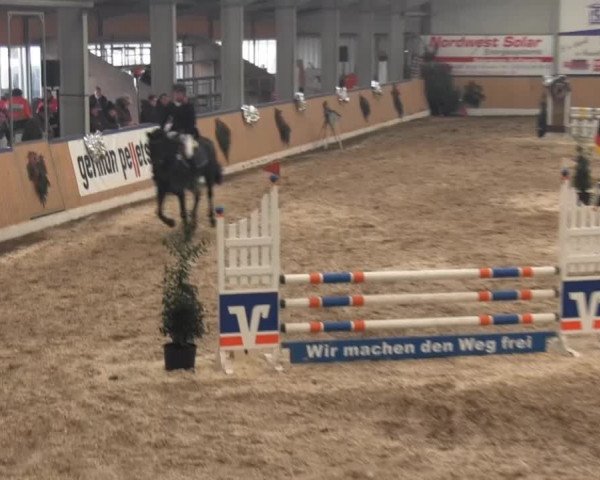 8. Springfestival Werlte