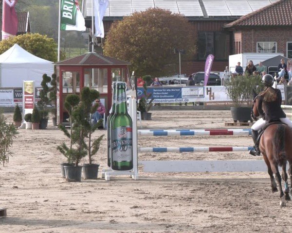 Lenklarer Reitertage Werne 2025
