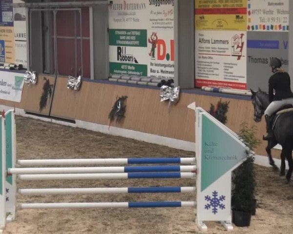 8. Springfestival Werlte