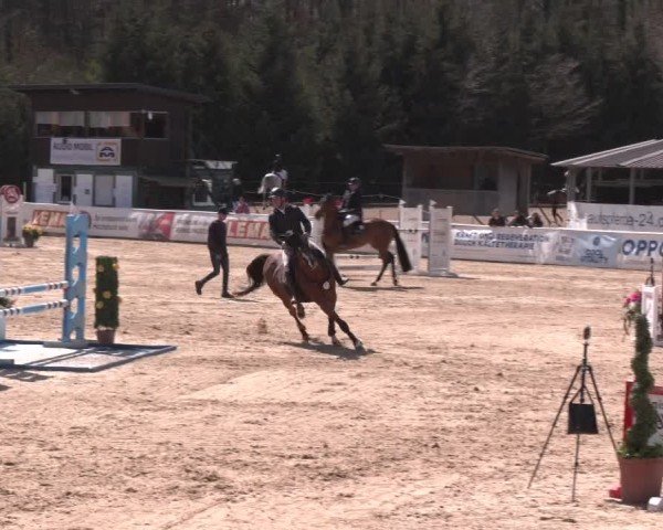 Reitturnier Ranshofen - Braunau am Inn 2025