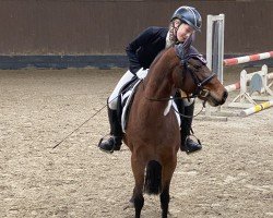 dressage horse Minime (Pony without race description, 2010)