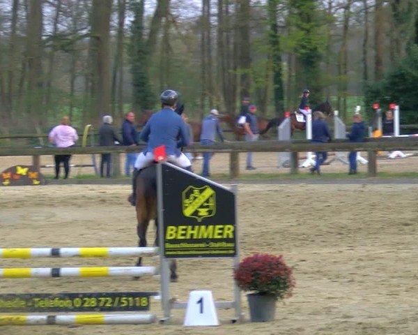 Reitturnier Rhede 2025