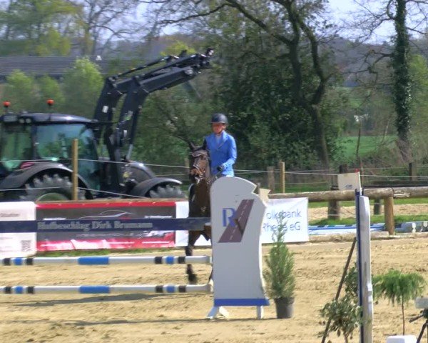Reitturnier Rhede 2025