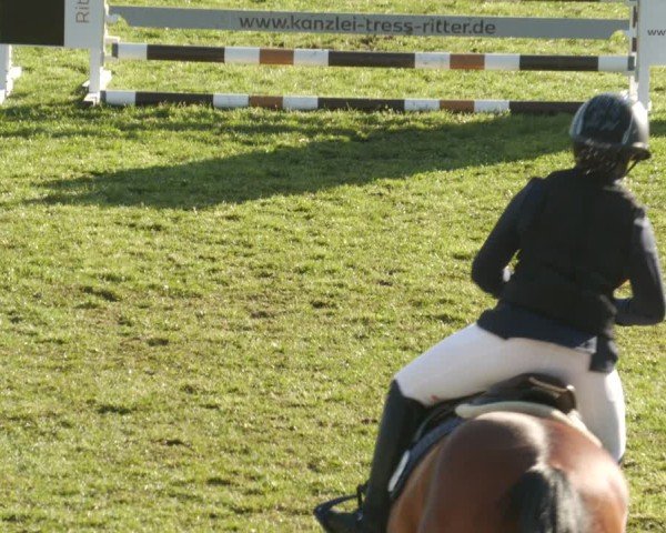 Reitturnier Meißenheim 2025