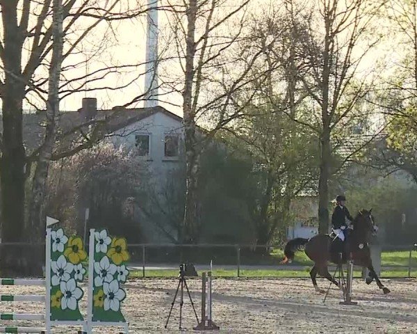 Reitturnier Rot am See- Musdorf 2025