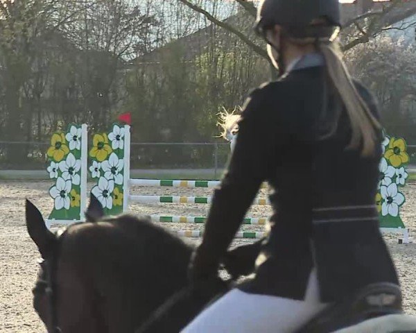 Reitturnier Rot am See- Musdorf 2025