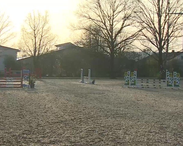 Reitturnier Rot am See- Musdorf 2025