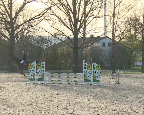 Reitturnier Rot am See- Musdorf 2025