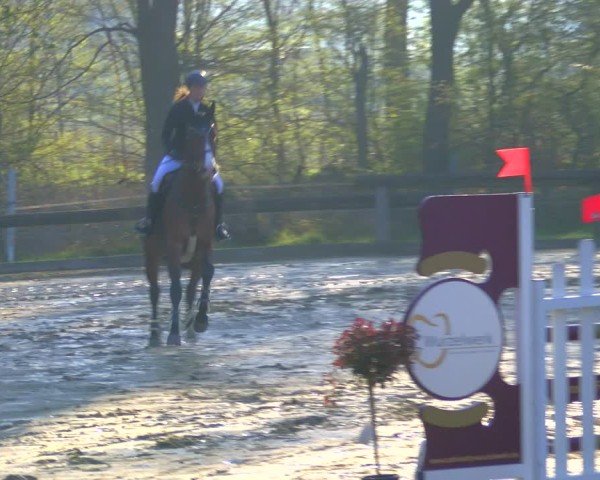 Reitturnier Rhede 2025