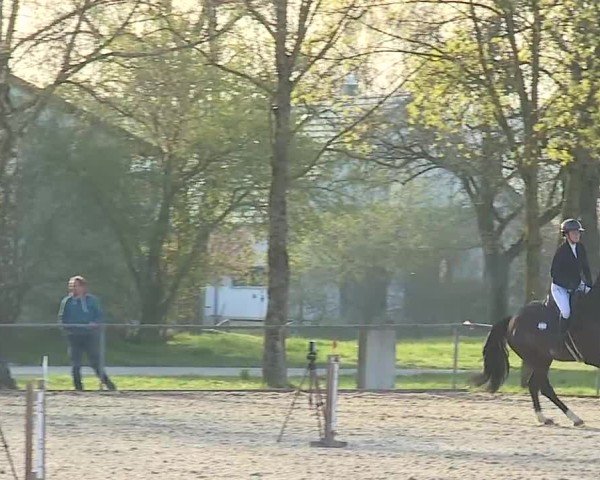 Reitturnier Rot am See- Musdorf 2025