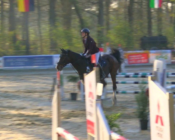 Reitturnier Rhede 2025