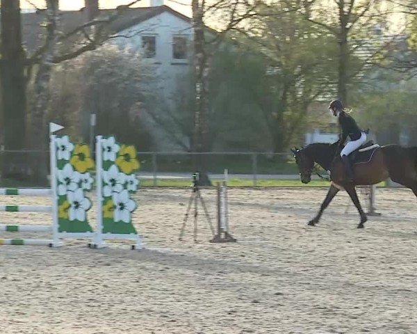 Reitturnier Rot am See- Musdorf 2025
