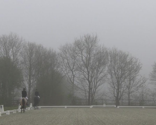 Reitturnier Elmlohe 2025