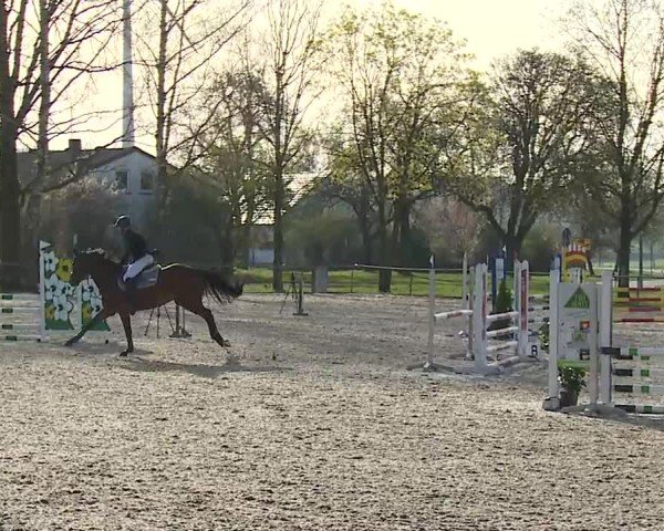 Reitturnier Rot am See- Musdorf 2025