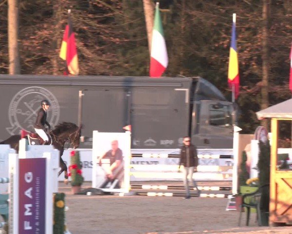 Reitturnier Ranshofen - Braunau am Inn 2025