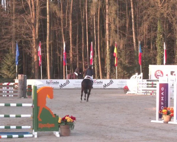 Reitturnier Ranshofen - Braunau am Inn 2025