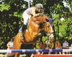jumper Lupus 104 (Holsteiner, 1997, from Lennon)