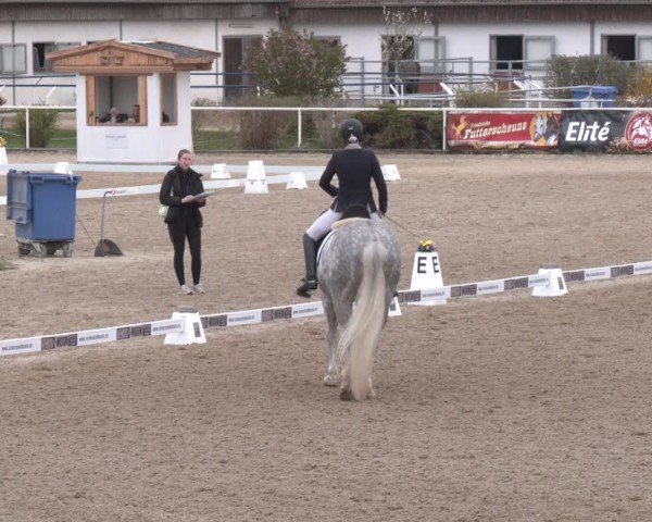 Reitturnier Margarethen am Moos 2025