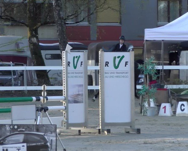 Reitturnier Bregenz 2025