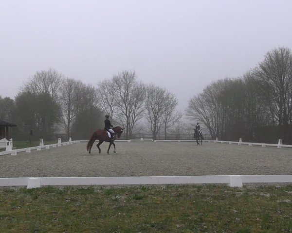 Reitturnier Elmlohe 2025
