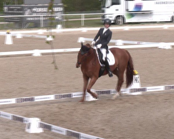 Reitturnier Margarethen am Moos 2025