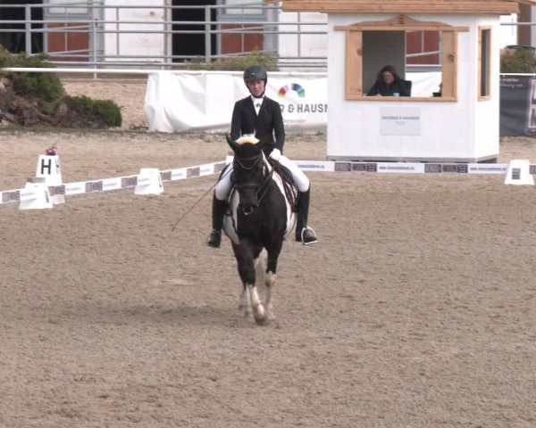 Reitturnier Margarethen am Moos 2025
