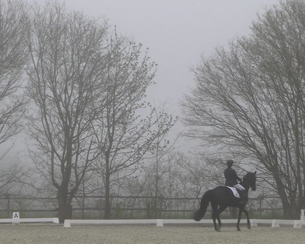 Reitturnier Elmlohe 2025