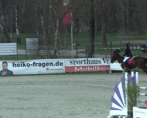 Reitturnier Westergellersen 2025