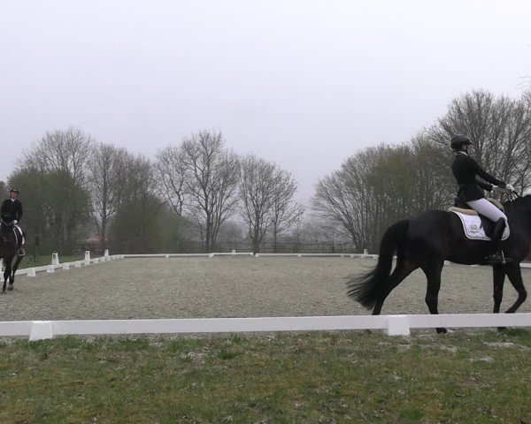 Reitturnier Elmlohe 2025