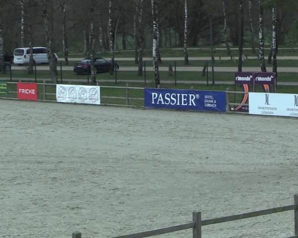 Reitturnier Westergellersen 2025