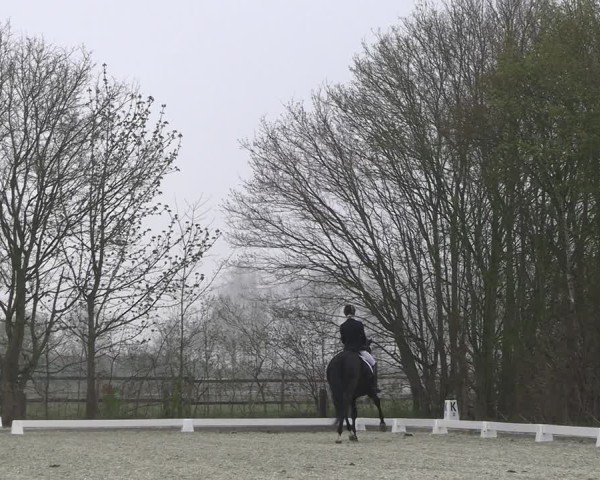 Reitturnier Elmlohe 2025