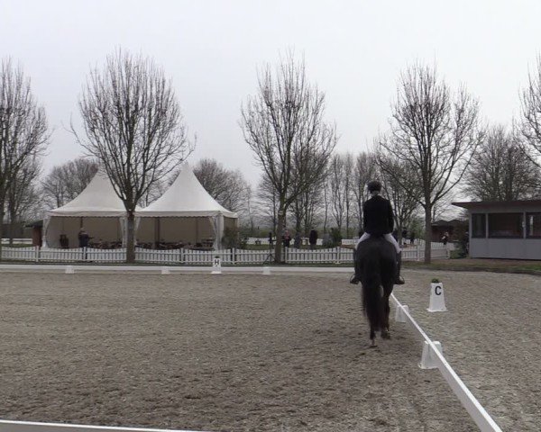 Reitturnier Elmlohe 2025