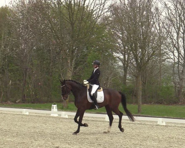 Reitturnier Elmlohe 2025