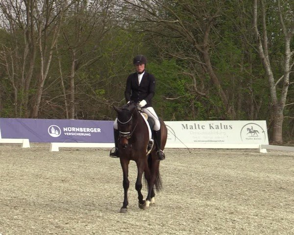 Reitturnier Elmlohe 2025