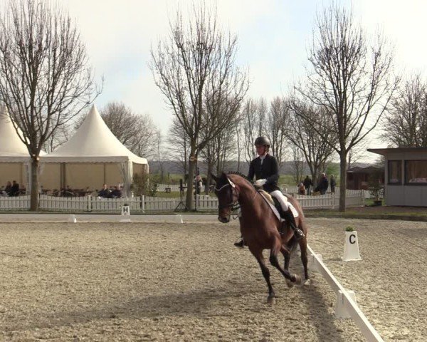 Reitturnier Elmlohe 2025