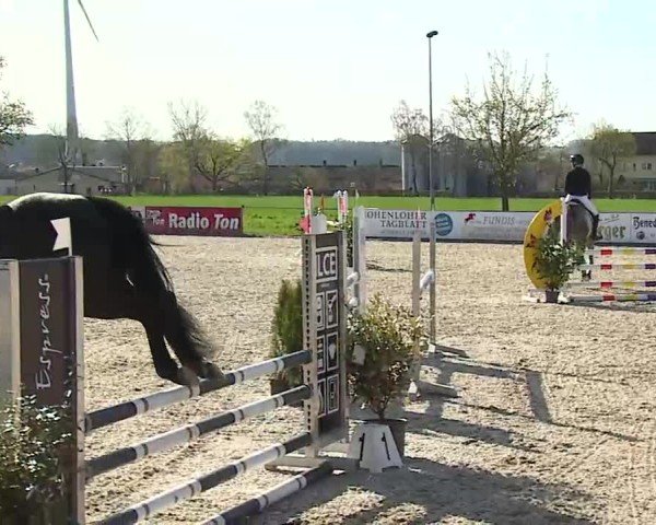 Reitturnier Rot am See- Musdorf 2025