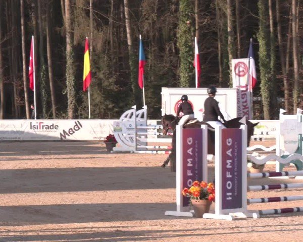 Reitturnier Ranshofen - Braunau am Inn 2025