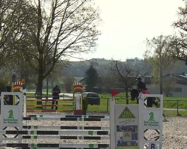 Reitturnier Rot am See- Musdorf 2025