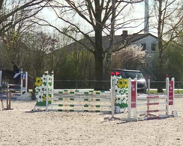 Reitturnier Rot am See- Musdorf 2025