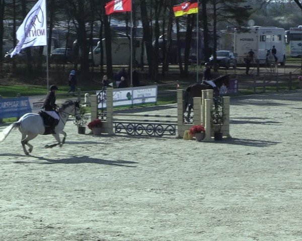 Reitturnier Westergellersen 2025