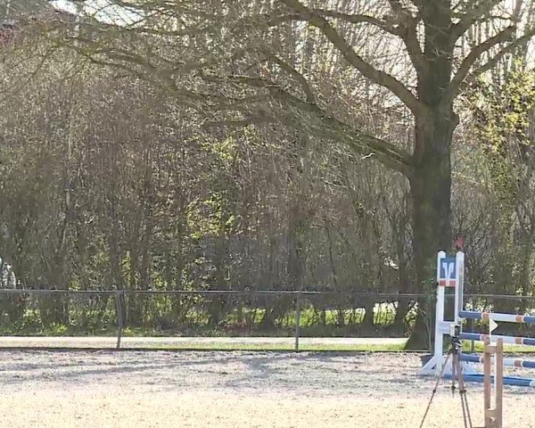 Reitturnier Rot am See- Musdorf 2025
