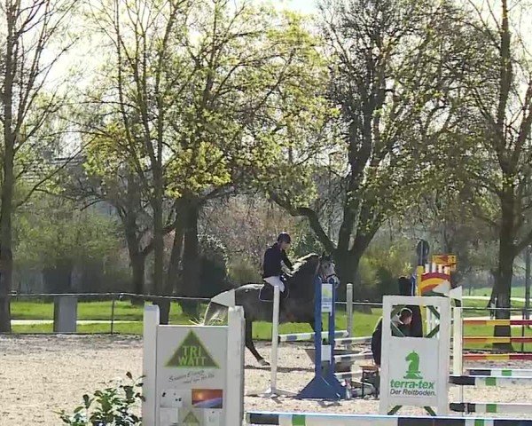 Reitturnier Rot am See- Musdorf 2025