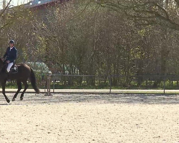 Reitturnier Rot am See- Musdorf 2025