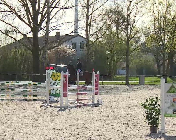 Reitturnier Rot am See- Musdorf 2025