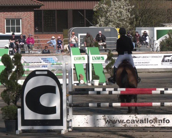 Reitturnier Werne-Lenklar 2025