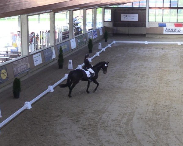 Reitturnier Oelde 2025