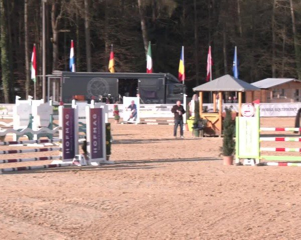 Reitturnier Ranshofen - Braunau am Inn 2025